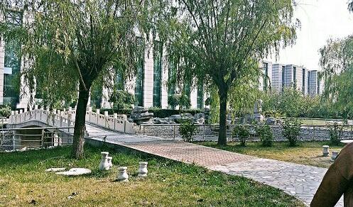 會計專業(yè)課程怎么樣？   